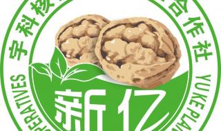 六个核桃包含几个核桃