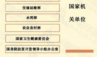 基层党组织整改方案