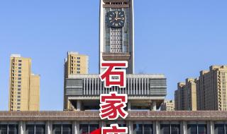 石家庄核酸公司被查