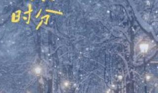 暴风雪时分电视剧免费观看