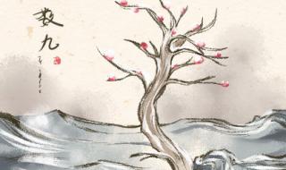 三九天从什么时候开始算