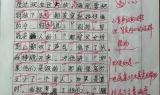 5年级下册语文第4单元作文