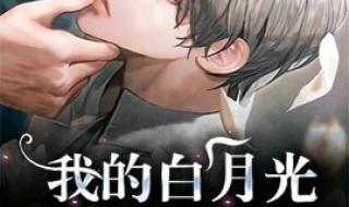 白月光心里某个地方什么歌