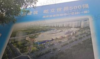 西部计划招聘公告2024年